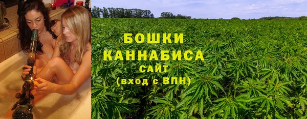 метадон Козельск