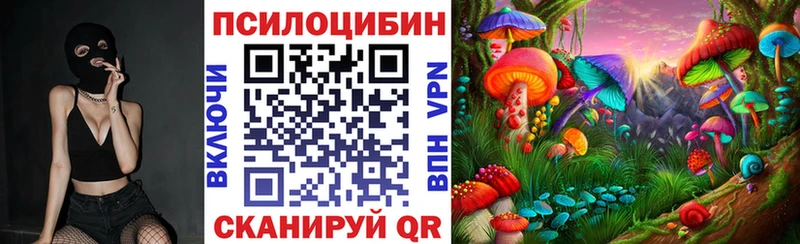 Псилоцибиновые грибы Magic Shrooms  Купить закладки  Малаховка 